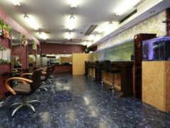 hair salon Ara