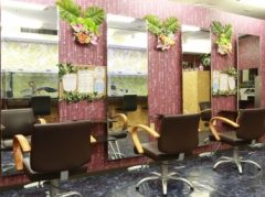 hair salon Ara