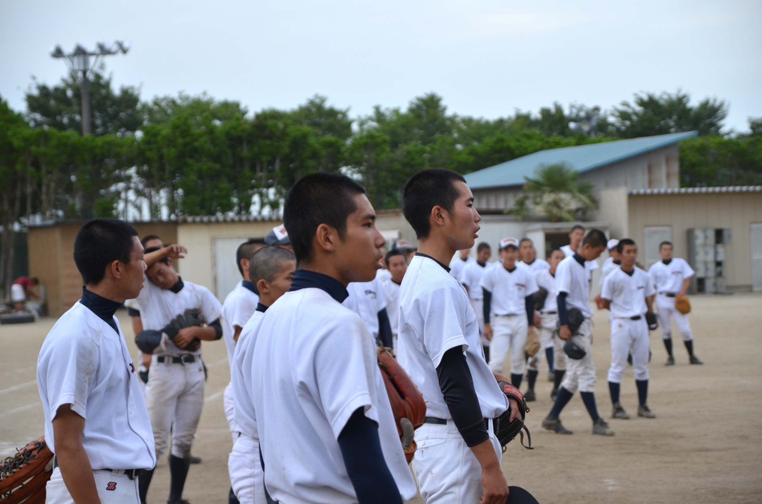 全員野球 でやってキタ 所沢北高校 野球部 所沢プロペ商店街振興組合