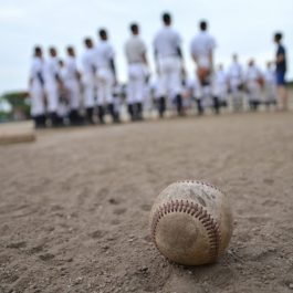 所沢北高等学校 野球部