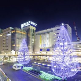 12/1(日) 所沢駅西口イルミライティングファンタジア