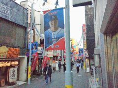 埼玉西武ライオンズの選手フラッグ