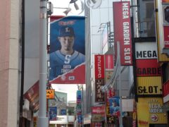 埼玉西武ライオンズの選手フラッグ
