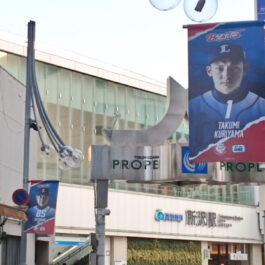 埼玉西武ライオンズの選手フラッグ